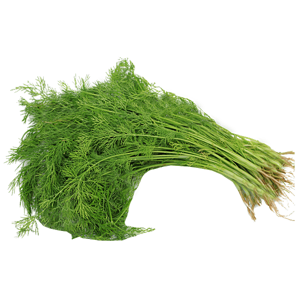 Buy fresho! Dill Leaves Online at Best Price of Rs 12 bigbasket