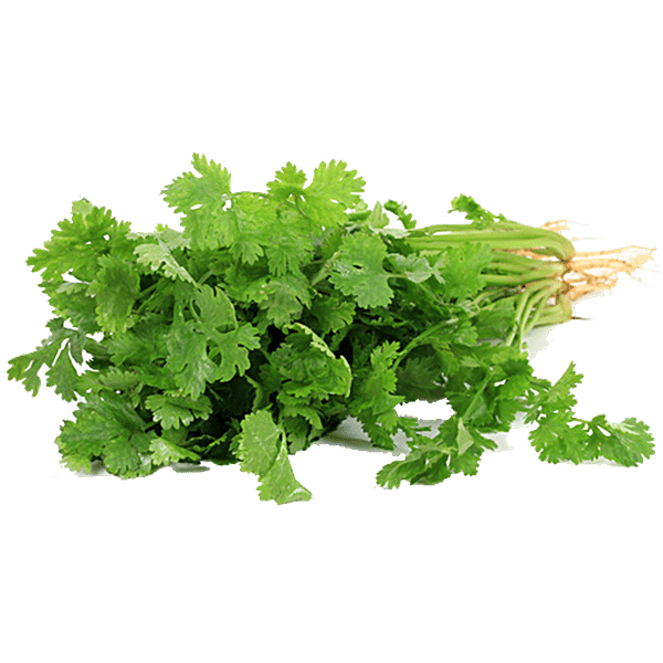 Buy Fresho Coriander Leaves 50 g+Chilli Green Long 50 g Online at Best