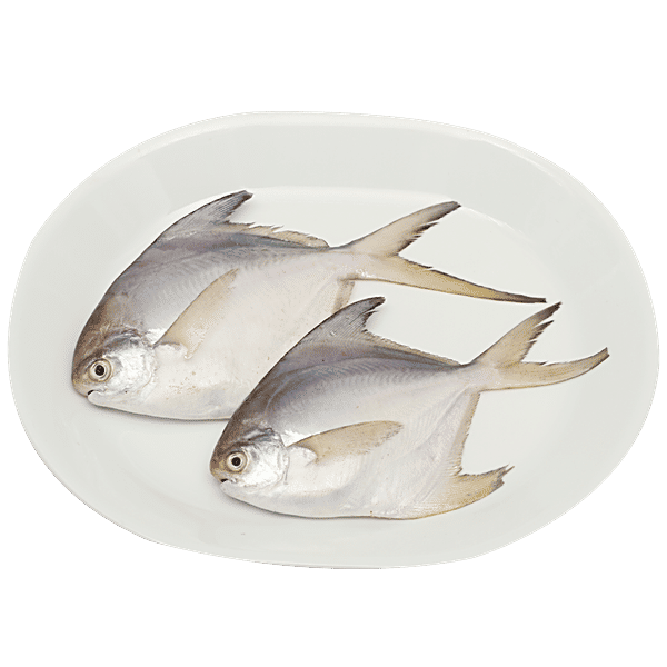Buy fresho! White Pomfret Small B Online at Best Price of Rs 2400