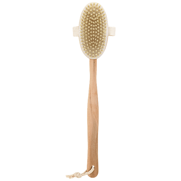 Buy DP Full Bath & Body Brush With Wooden Handle, Assorted Colour