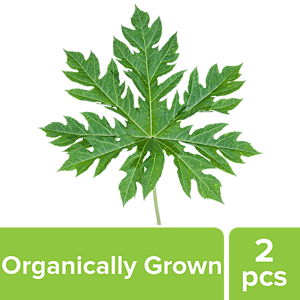 Buy fresho! Papaya Leaf Organically Grown, Rich In Vitamins, Minerals