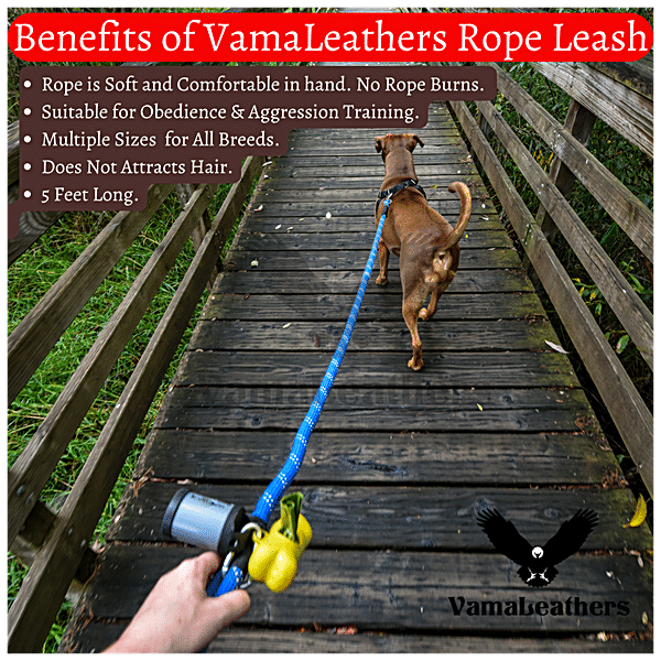 Strong Leathers for Strong Dogs – Vama Leathers