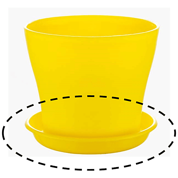 Buy Kraft Seeds Plate For Plastic Flowerpot Yellow, 15 cm, Collects