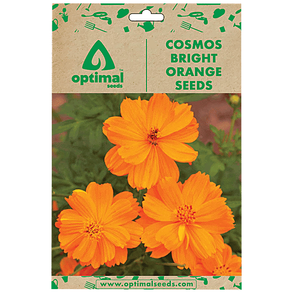 Buy Optimal Seeds Cosmos Bright Orange Flower Seeds Online at Best