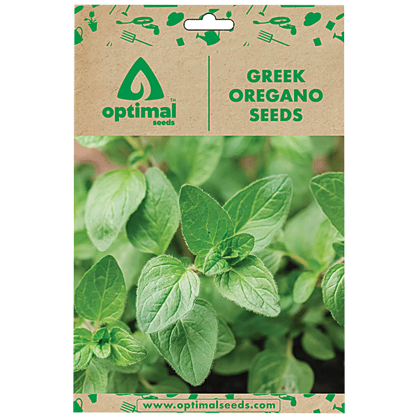 Buy Optimal Seeds Greek Oregano Herb Seeds Online at Best Price of Rs