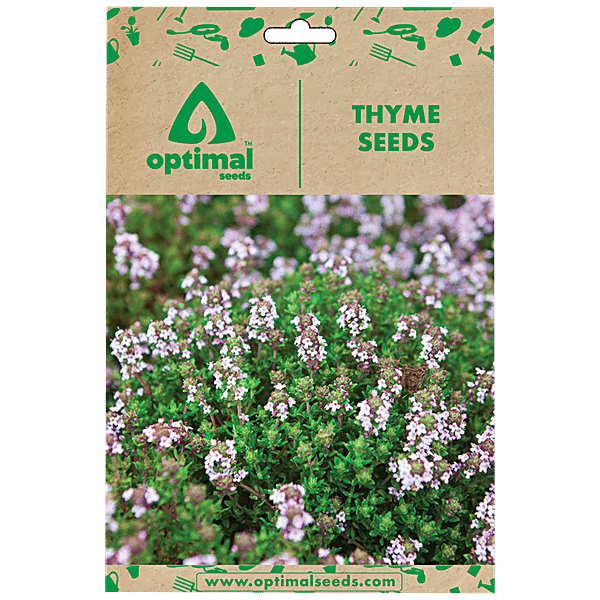 Buy Optimal Seeds Thyme Herb Seeds Online at Best Price of Rs 179 bigbasket