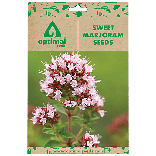 Buy Optimal Seeds Sweet Marjoram Herb Seeds Online at Best Price of Rs