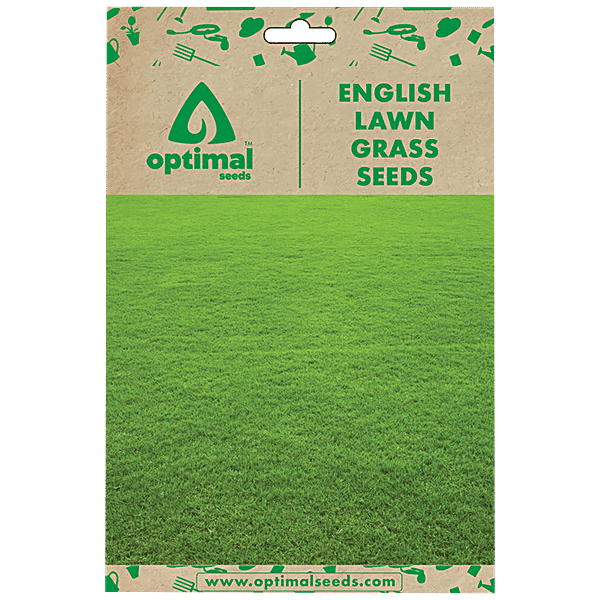 Buy Optimal Seeds English Lawn Grass Seeds Online at Best Price of Rs
