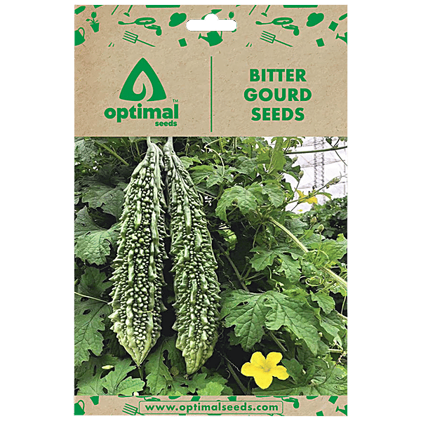 Buy Optimal Seeds Bitter Gourd Vegetable Seeds Online at Best Price of
