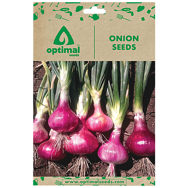 Buy Optimal Seeds Onion Vegetable Seeds Online at Best Price of Rs 179