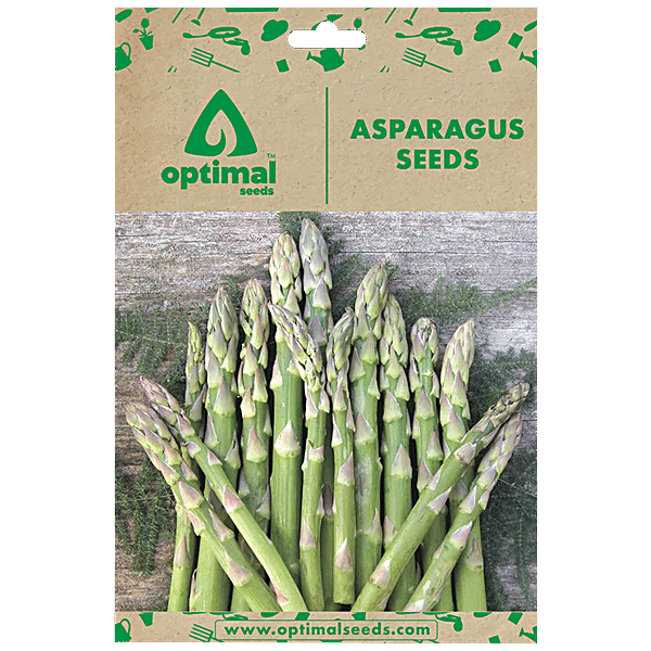 Buy Optimal Seeds Asparagus Vegetable Seeds Online at Best Price of Rs