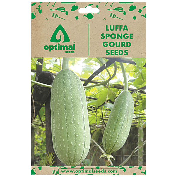 Buy Optimal Seeds Luffa Sponge Gourd Vegetable Seeds Online at Best