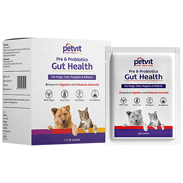 5 Reasons Why Probiotic Chews for Dogs Are a Game-Changer for Gut