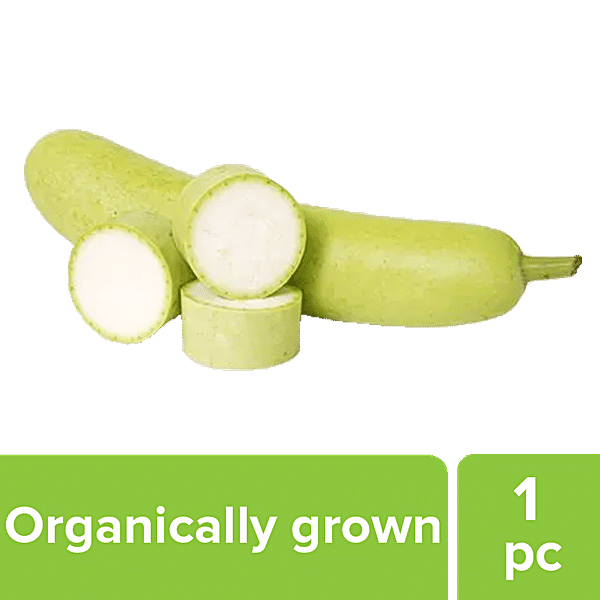 Buy Fresho Bottle Gourd Organically Grown 1 Pc Online At Best Price of