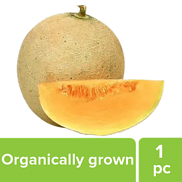 Buy Fresho Muskmelon Organically Grown 1 Pc Online At Best Price of Rs 48 bigbasket