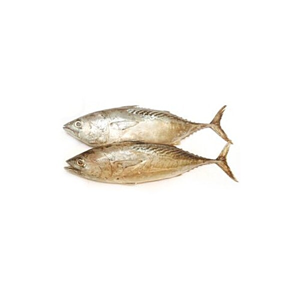 Buy Ocean 7 Fish Tuna Fish 1 Kg Online at the Best Price of Rs null
