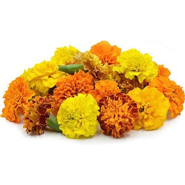 Buy blooms & bouquets Flower Mix Marigold / Zendu Flowers Online at