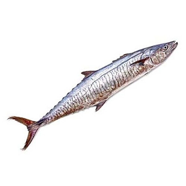 Buy Jb Seafood&Co Fish Big Seer / Vanjiram, Big Online at Best Price of Rs null bigbasket