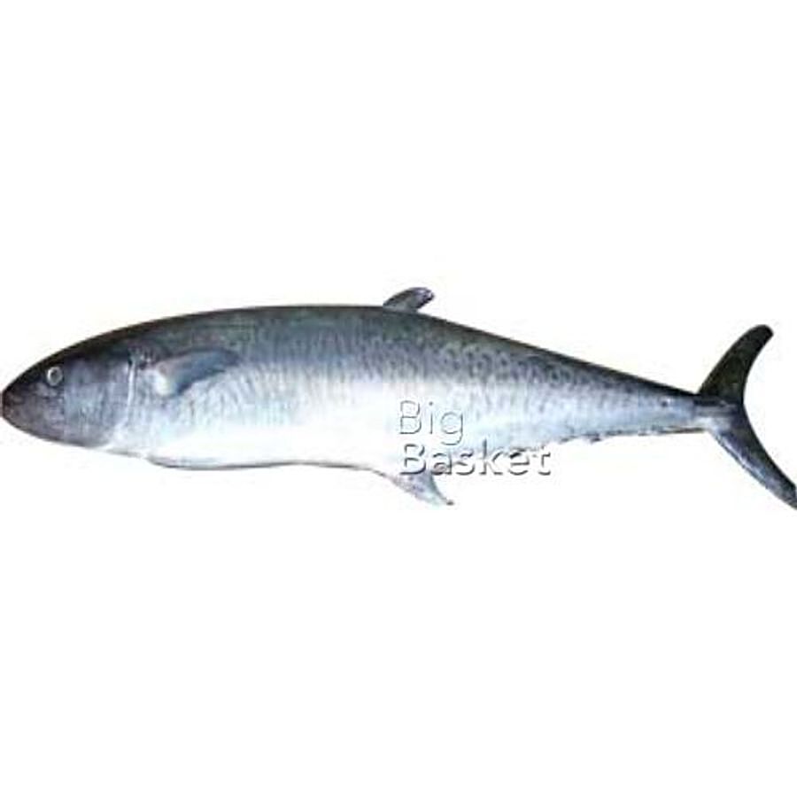 Buy Fresho King Fish (Medium) - Boneless 500gm Online at Best