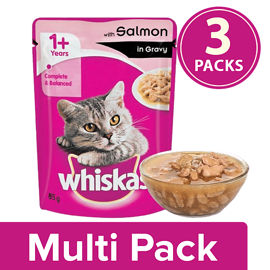 Buy Whiskas of Gravy, +1 - Year at Wet Best - bigbasket Salmon Food Rs null Adult Price Cats, In Online Cat For