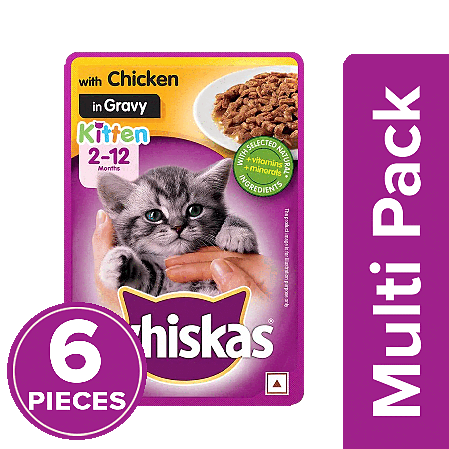 Buy Whiskas Wet Cat Food - Kitten, 2-12 Months, Chicken In Gravy, Shiny  Coat Online at Best Price of Rs 216 - bigbasket