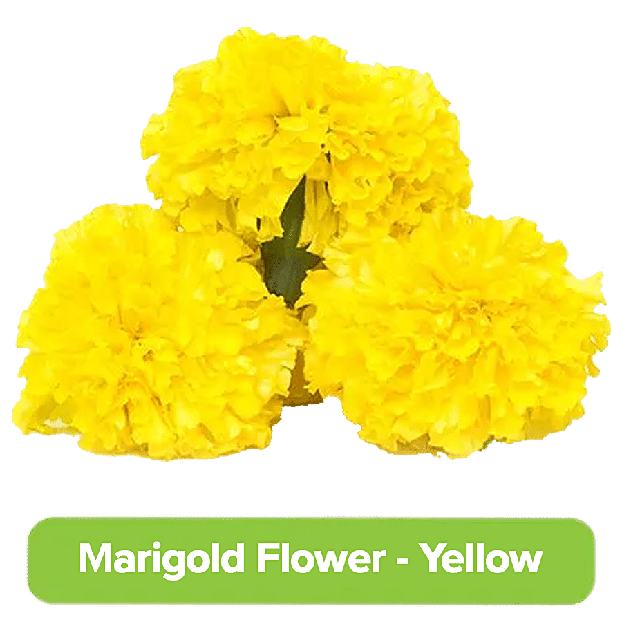 Buy Fresho Marigold Yellow 1 Kg Online At Best Price of Rs 121.18 -  bigbasket