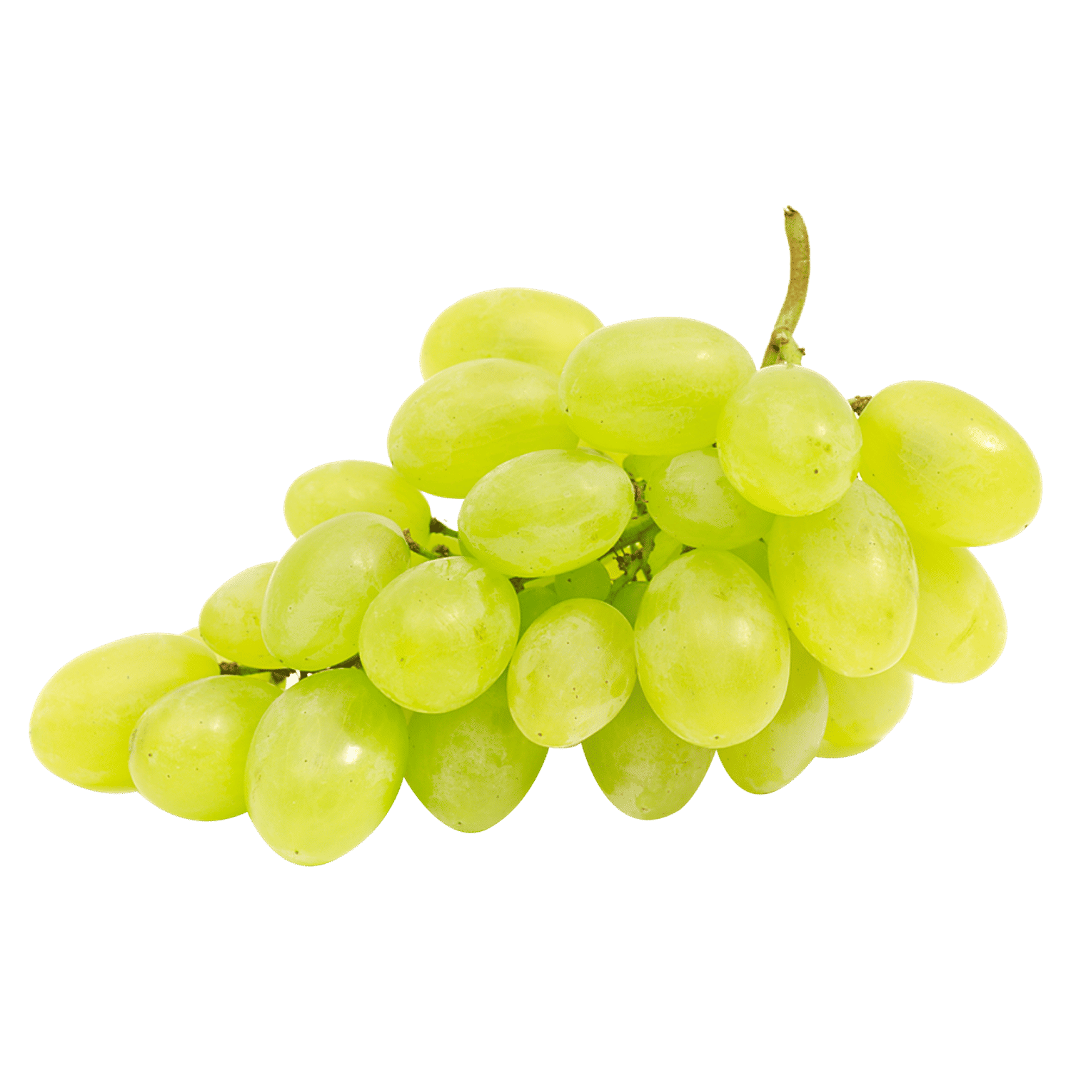 Grapes Green ubicaciondepersonas.cdmx.gob.mx