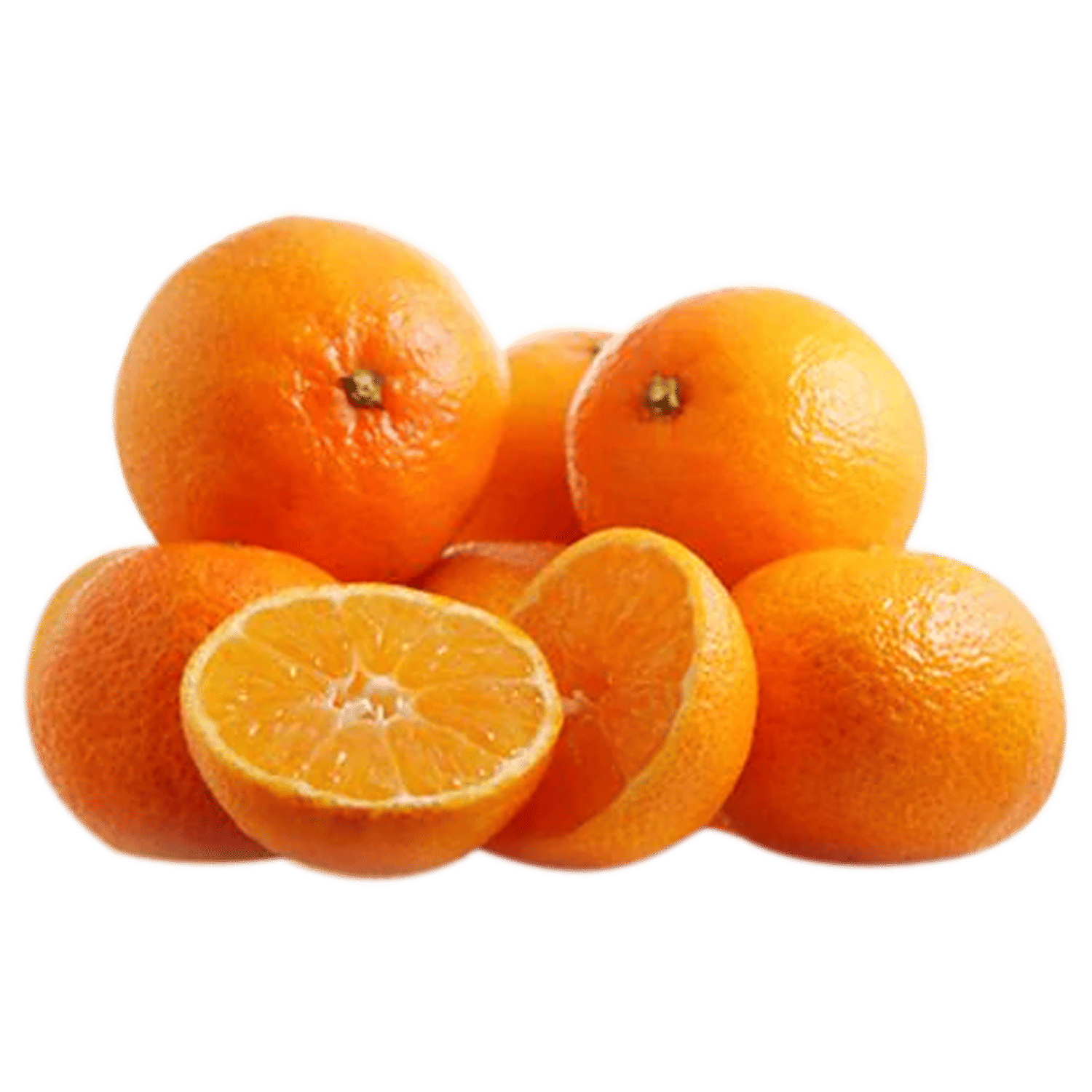【一部予約販売】 orange