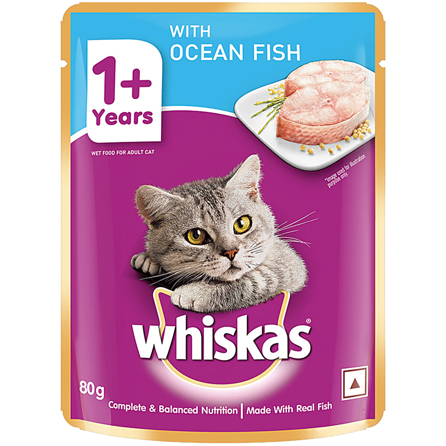 Buy Whiskas Pet Food Ocean Fish 85 Gm Online At Best Price of Rs 36 -  bigbasket