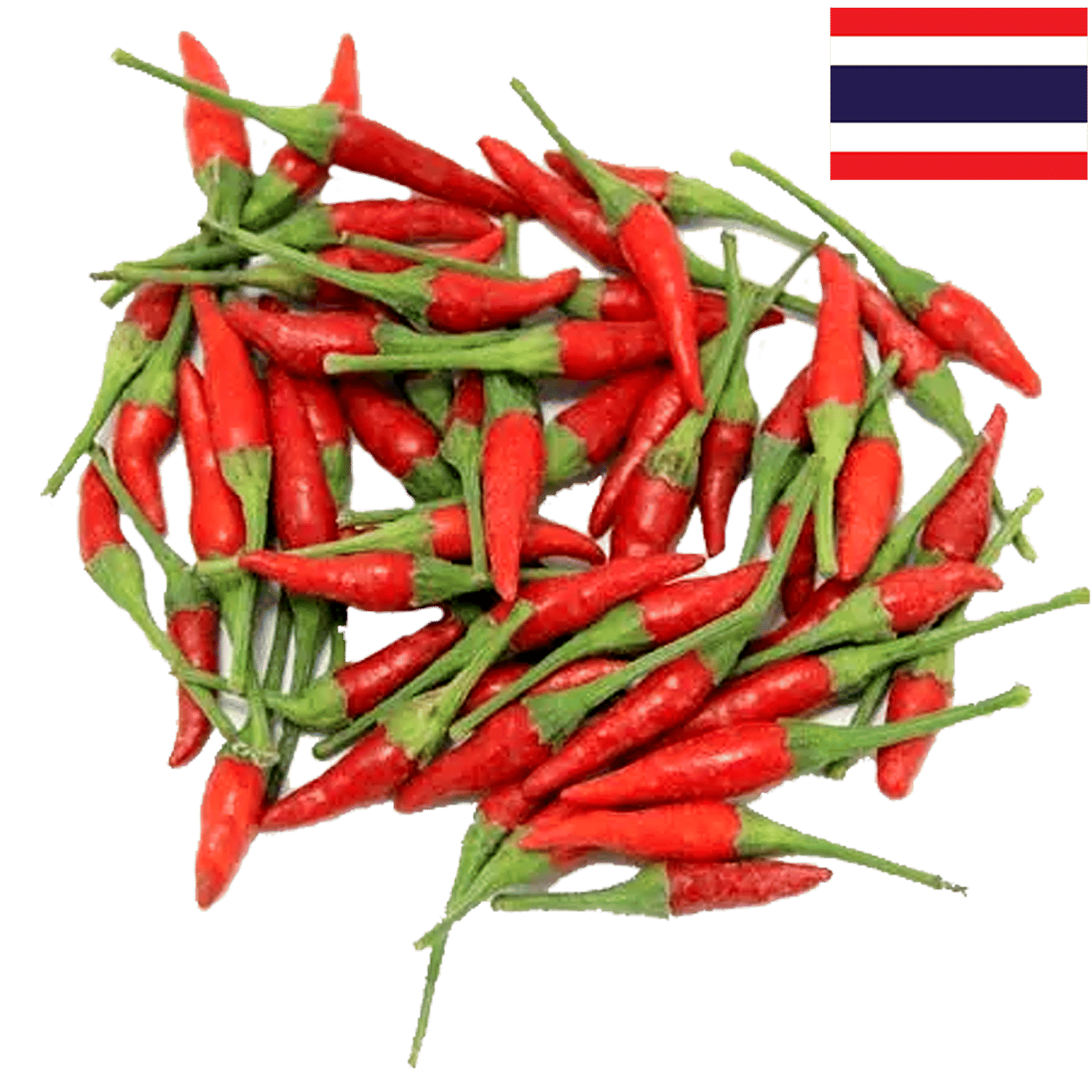 Chilli Thai vlr.eng.br