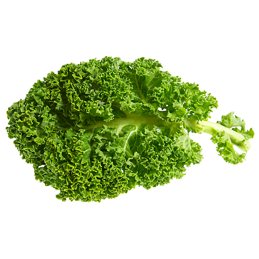 Organic Kale – Freshindiaorganics