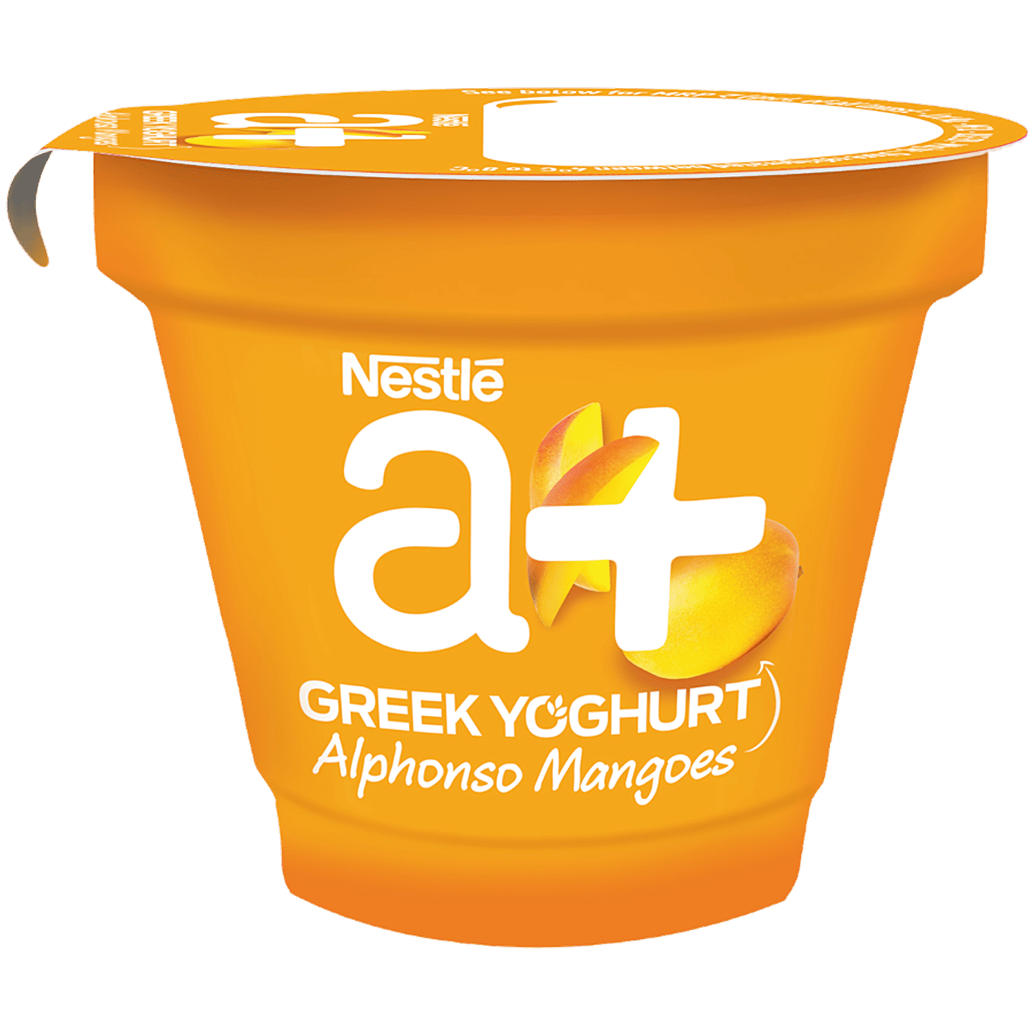 Nestle Yogurt