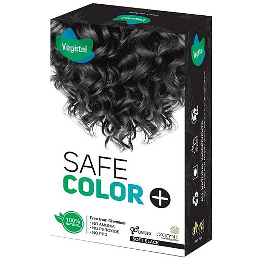 Buy Vegetal Safe Hair Color Online at Best Price of Rs  - bigbasket