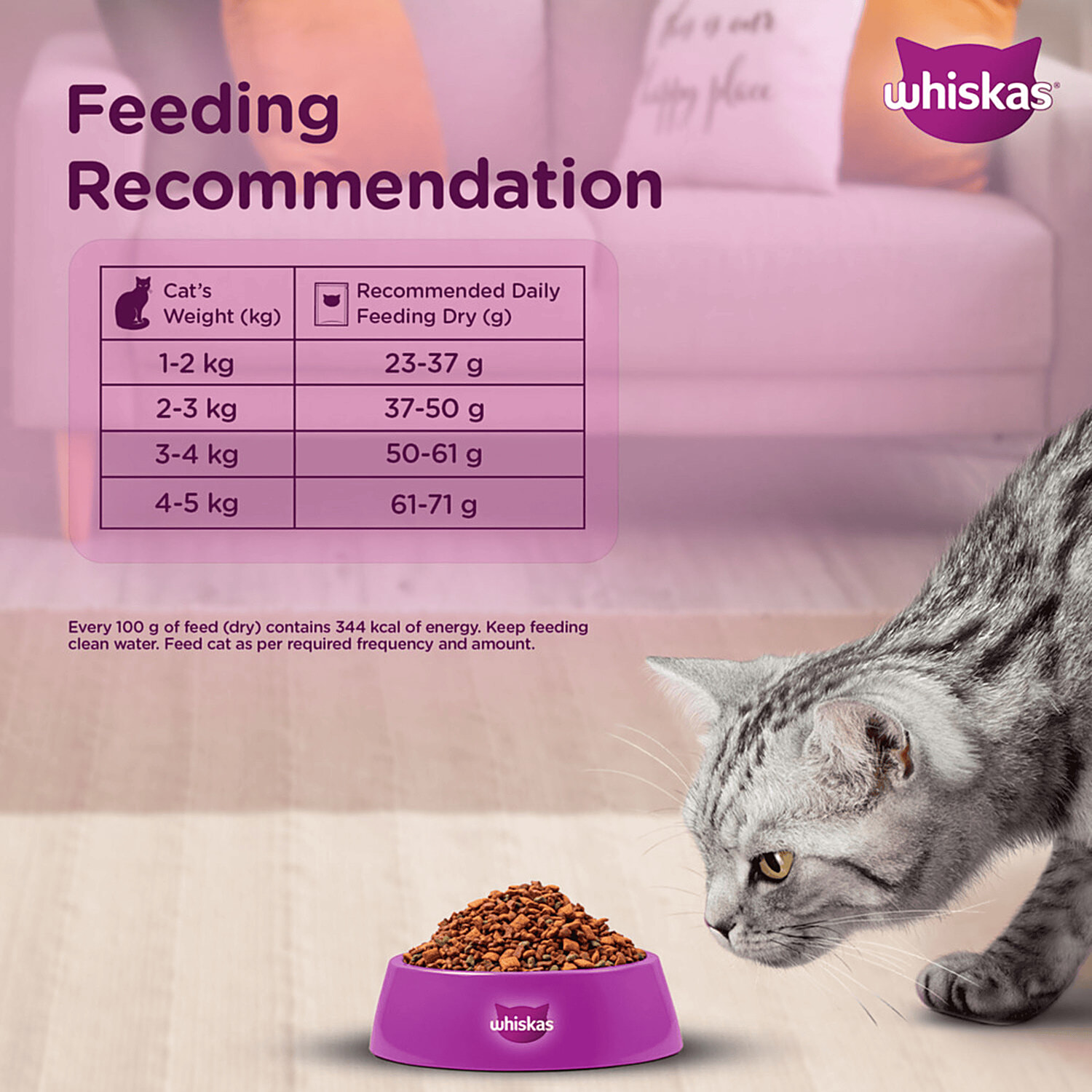 Cat Food Can Cats Have Tuna Fish For Cats Is It Safe To Feed My
