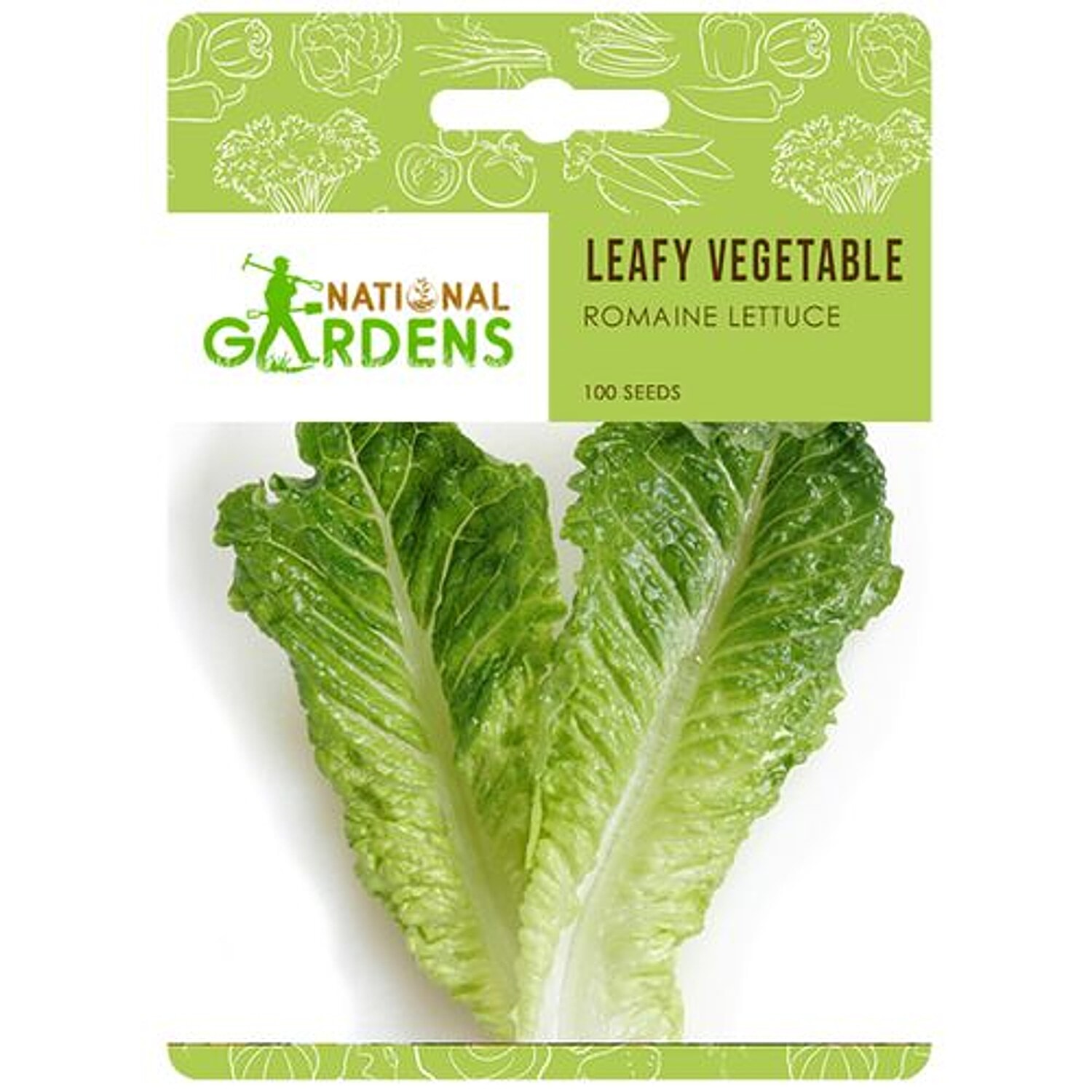 Romaine Lettuce Seedlings