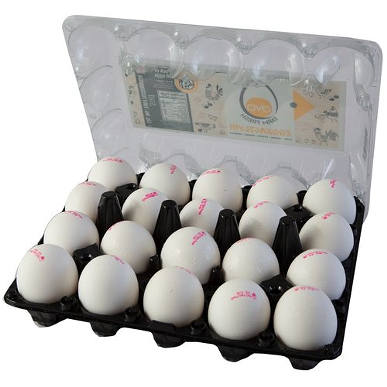 20pcs 20 Eggs Box 95％以上節約