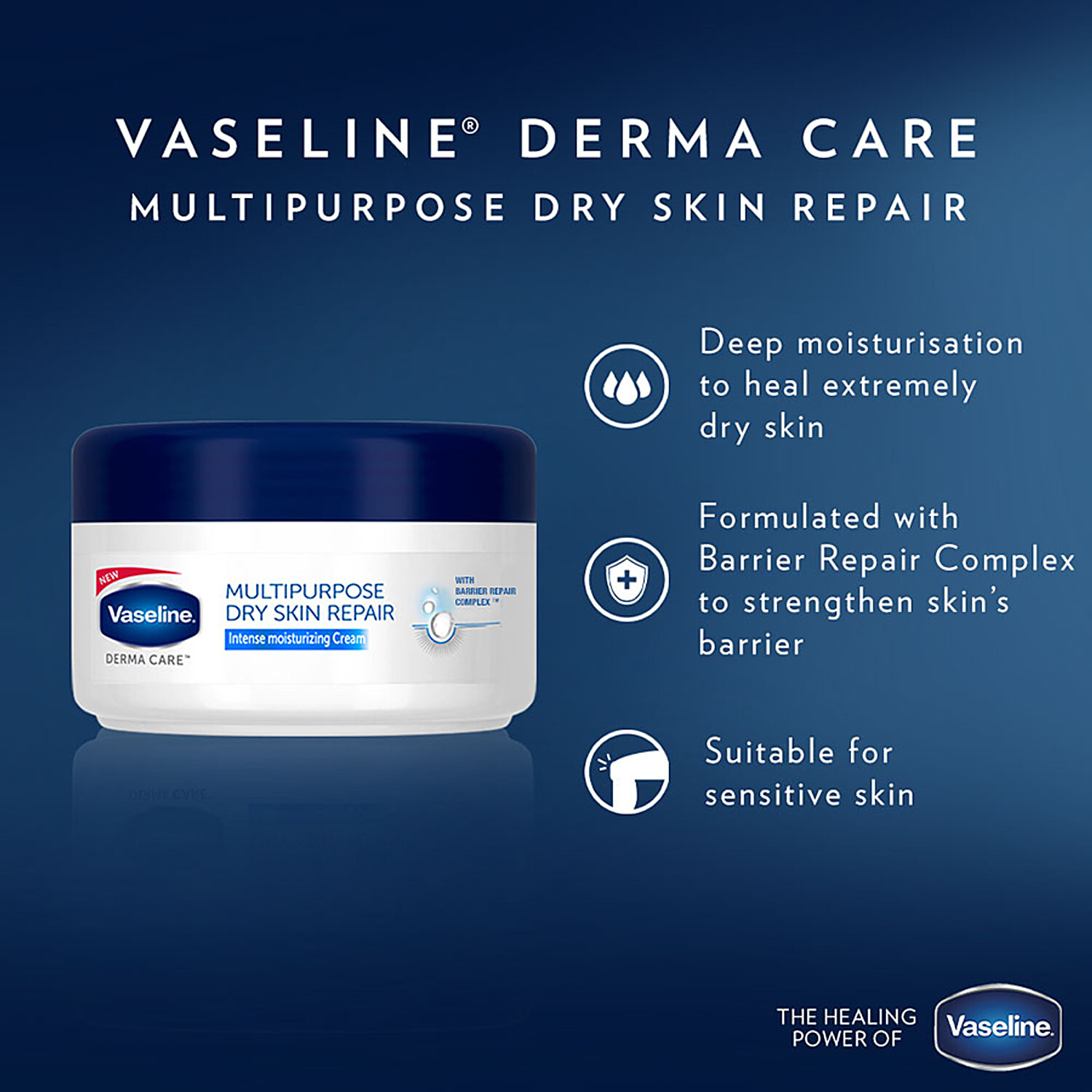 vaseline multipurpose dry skin repair
