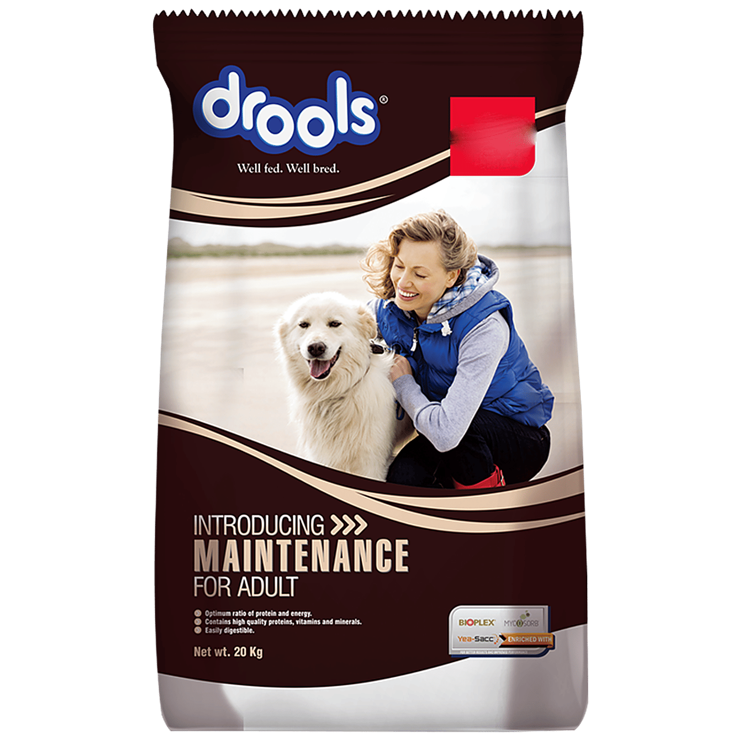 Can Dog Kibble Go Bad