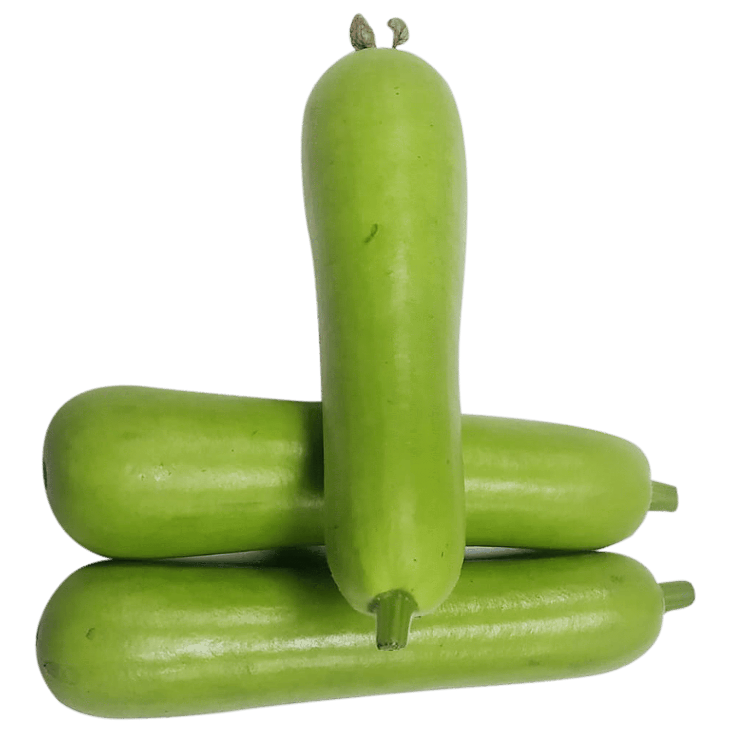 Gourd ubicaciondepersonas.cdmx.gob.mx