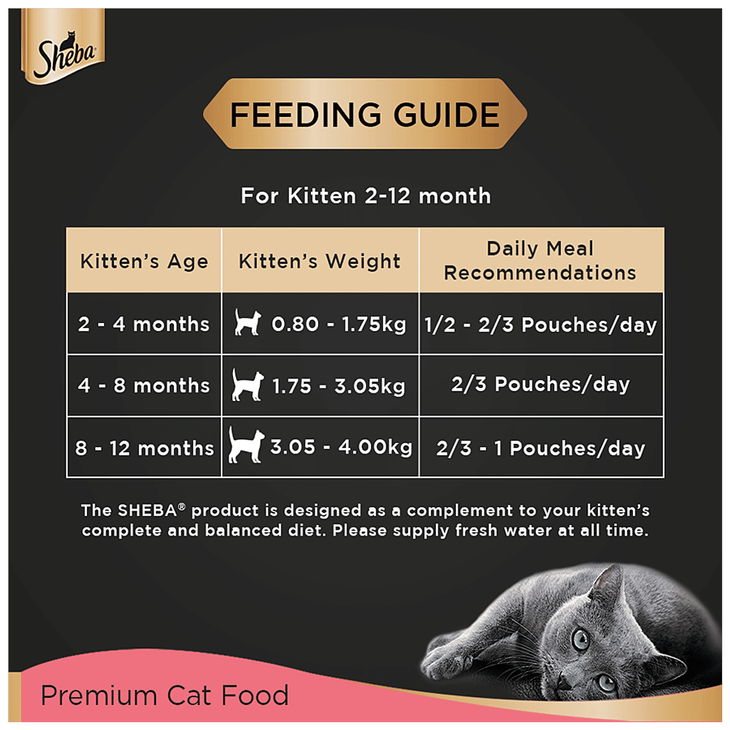 How Much To Feed A Kitten The Ultimate Guide To Cat Food Portions