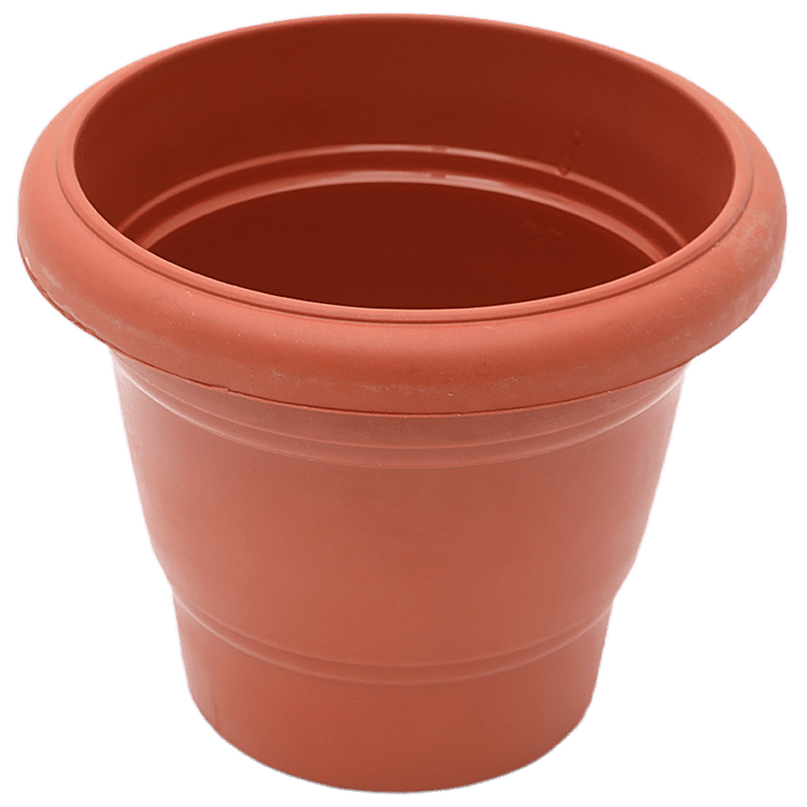 Buy NATURES Flower Pot 60 Online at Best Price of Rs 30 - bigbasket
