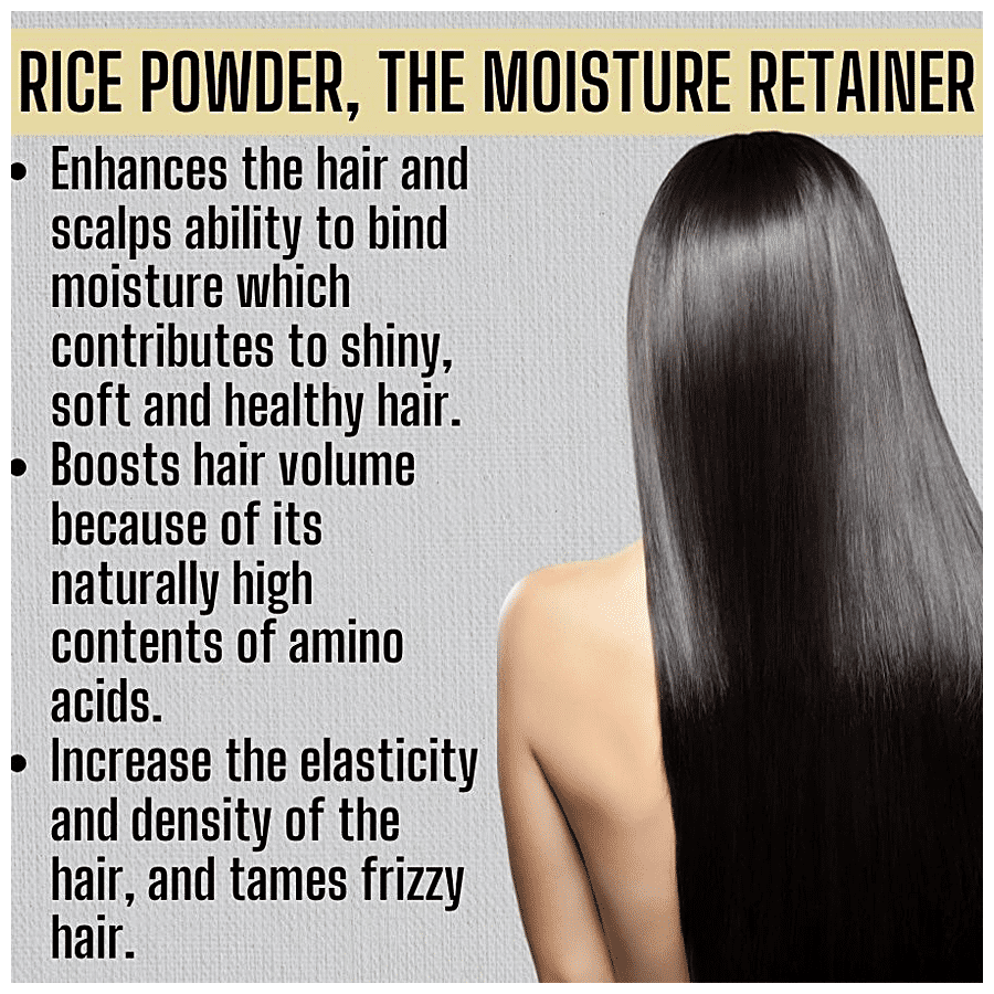 Buy Nina Dorada Volume & Shine Shampoo Bar With Shea Butter, Shikakai,  Reetha & Rice Powder - Anti-Hair Fall, For Dry, Frizzy & Damaged Hair  Online at Best Price of Rs  -