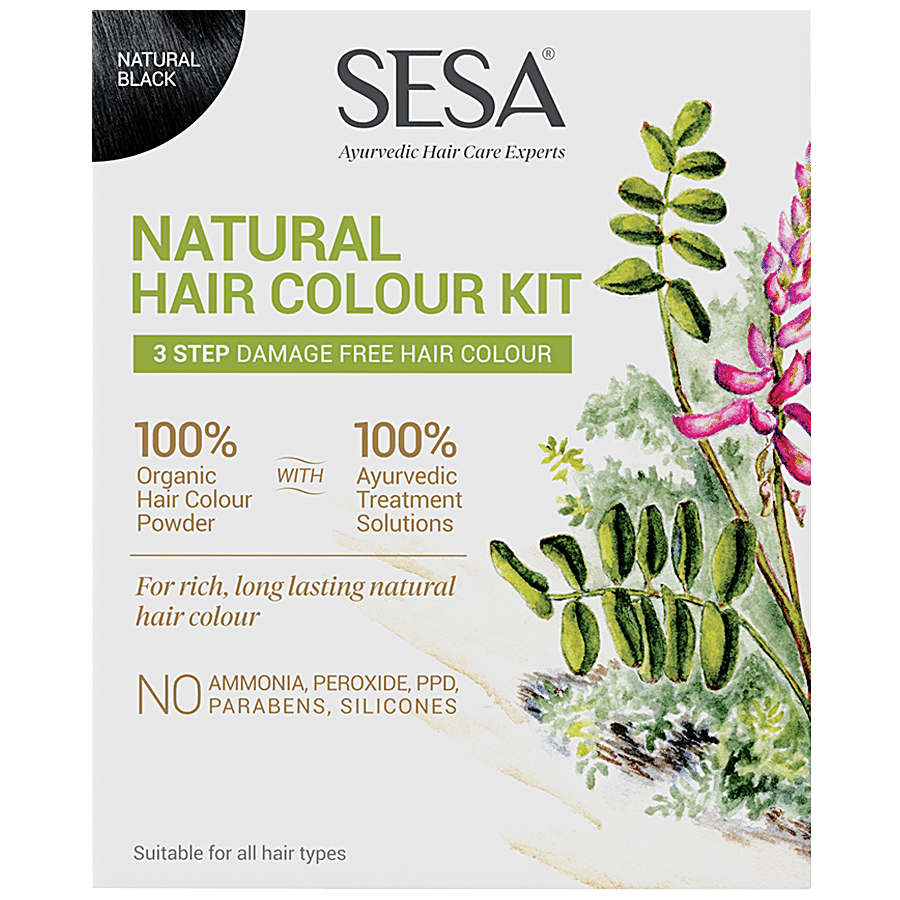 Buy Sesa 3 Step Natural Hair Colour Kit - For First Greys, 100% Organic &  Ayurvedic, No Ammonia, Ppd, Peroxide Online at Best Price of Rs 315 -  bigbasket