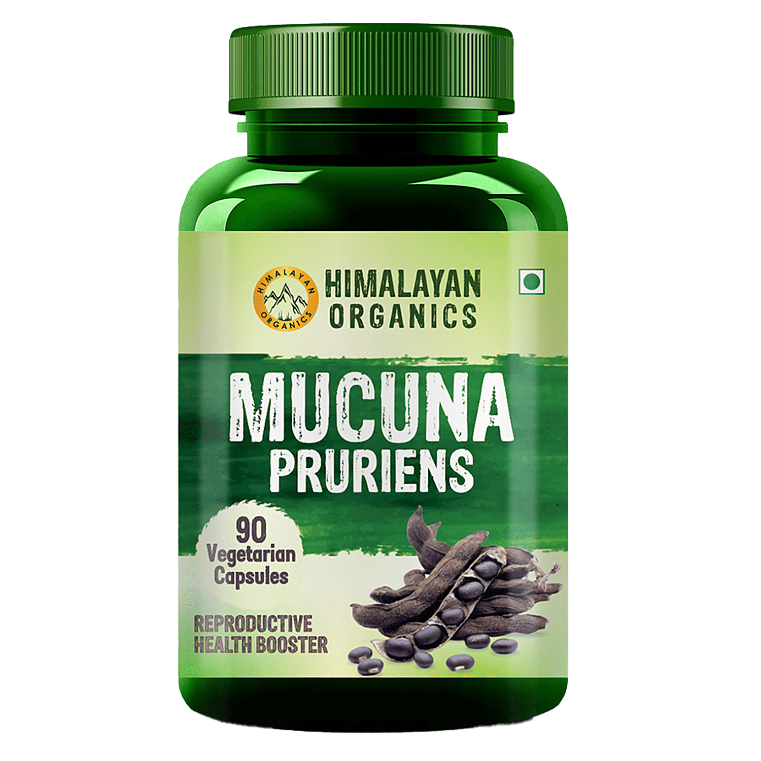 Organic Mucuna Pruriens Extract Powder (Contains Natural L Dopa),1