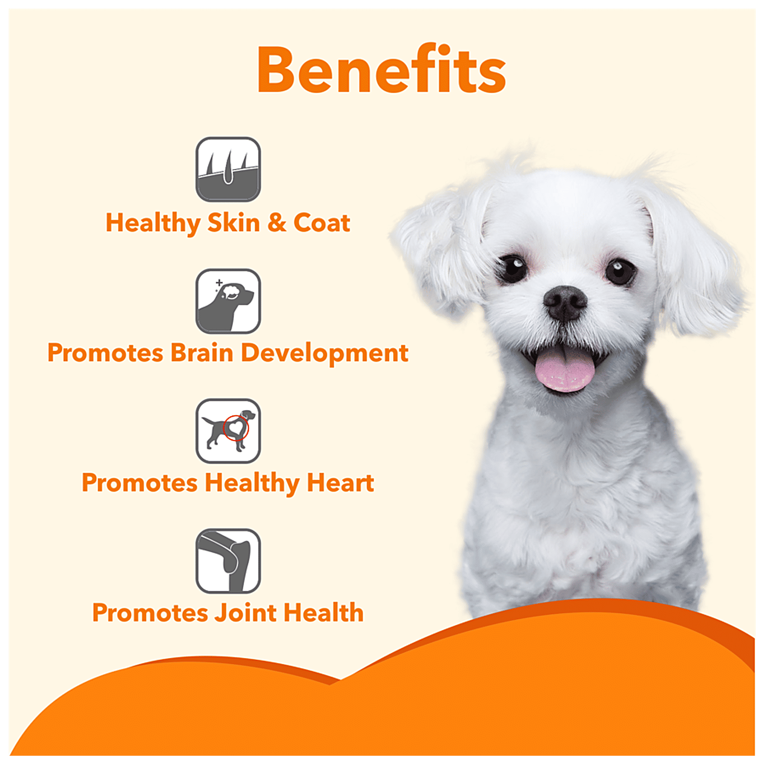 absolute salmon oil