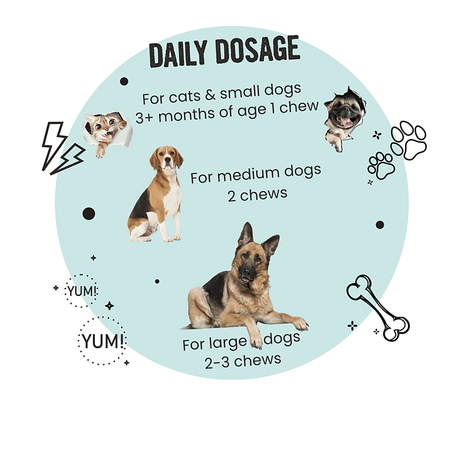 How Much Zinc Does A Dog Need Daily