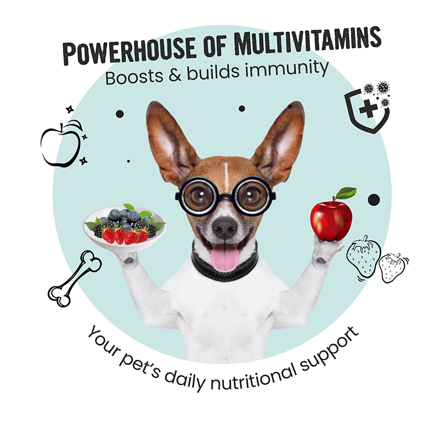 How Much Zinc Does A Dog Need Daily