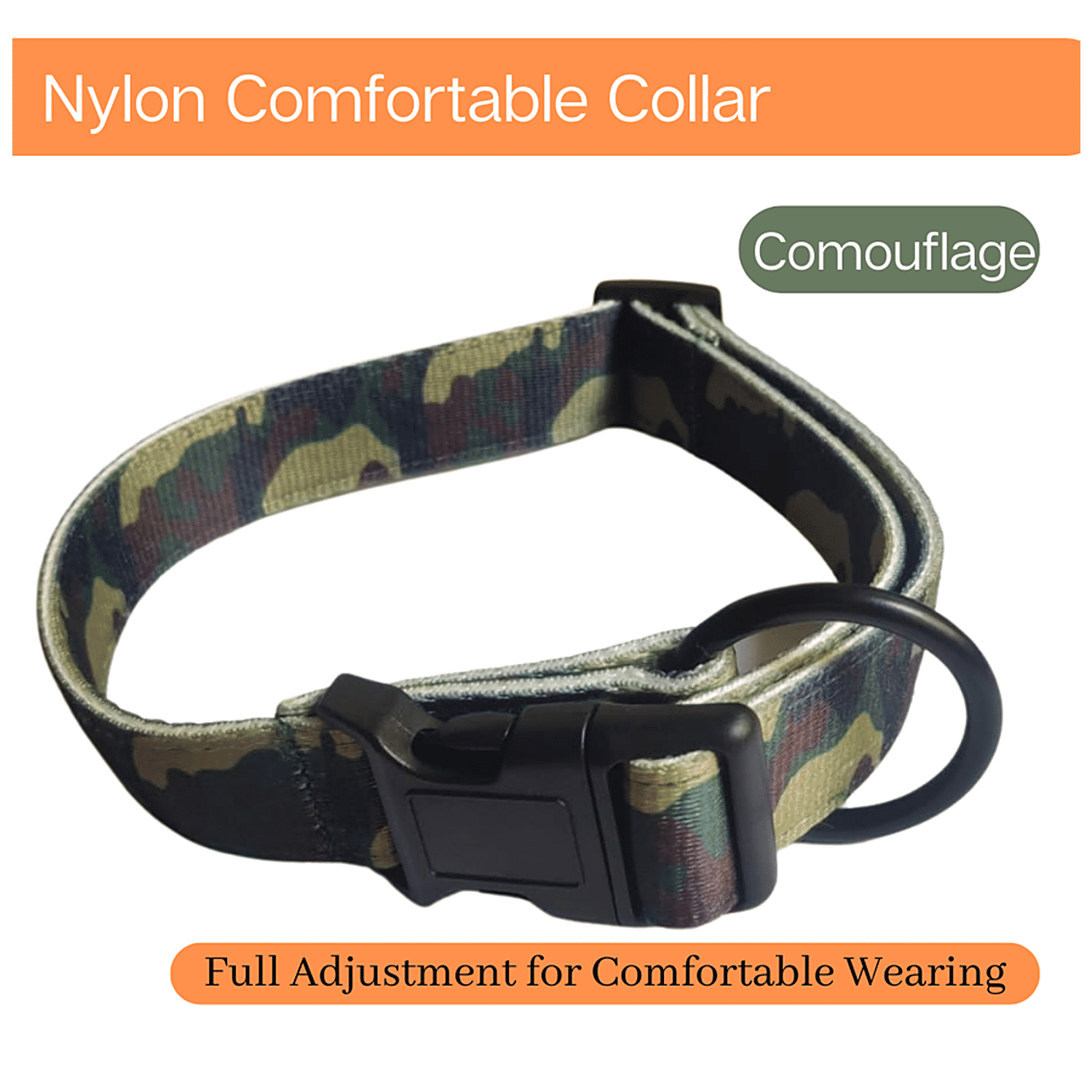 Can Cats Wear Small Dog Collars