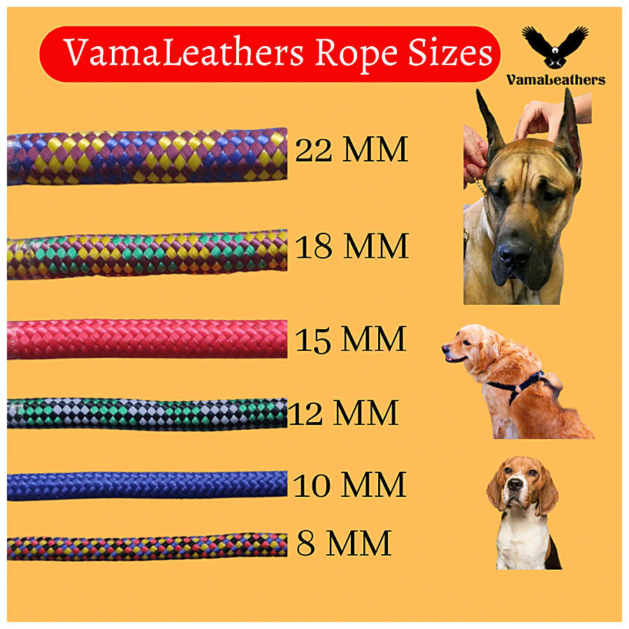 BLESSING PET PRODUCT Blessing Leather leash with brass hook 6 feet length  305 cm Dog Cord Leash Price in India - Buy BLESSING PET PRODUCT Blessing Leather  leash with brass hook 6