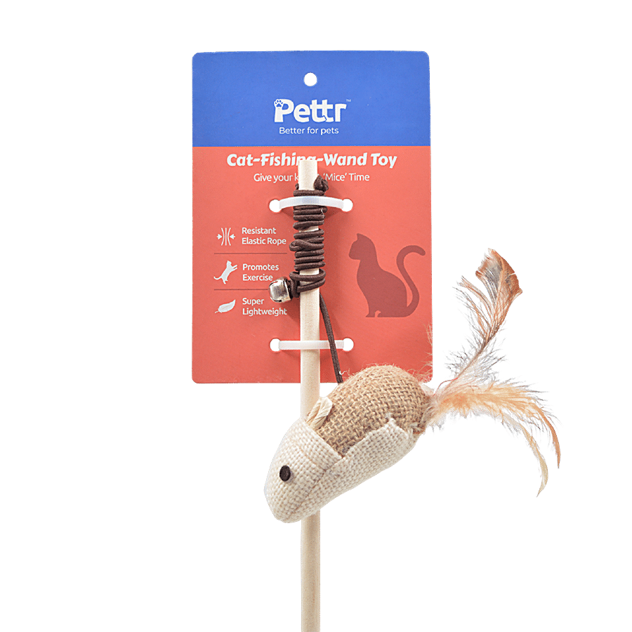 Buy Pettr Cat Fishing Wand Toy - Perfect For Solo & Group Play Online at  Best Price of Rs 529 - bigbasket